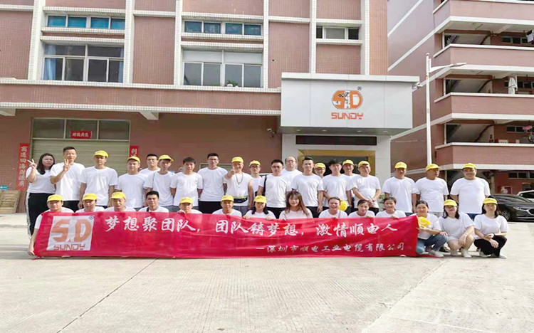 “夢想聚團(tuán)隊(duì)，團(tuán)隊(duì)鑄夢想”順電2021年旅游圓滿結(jié)束