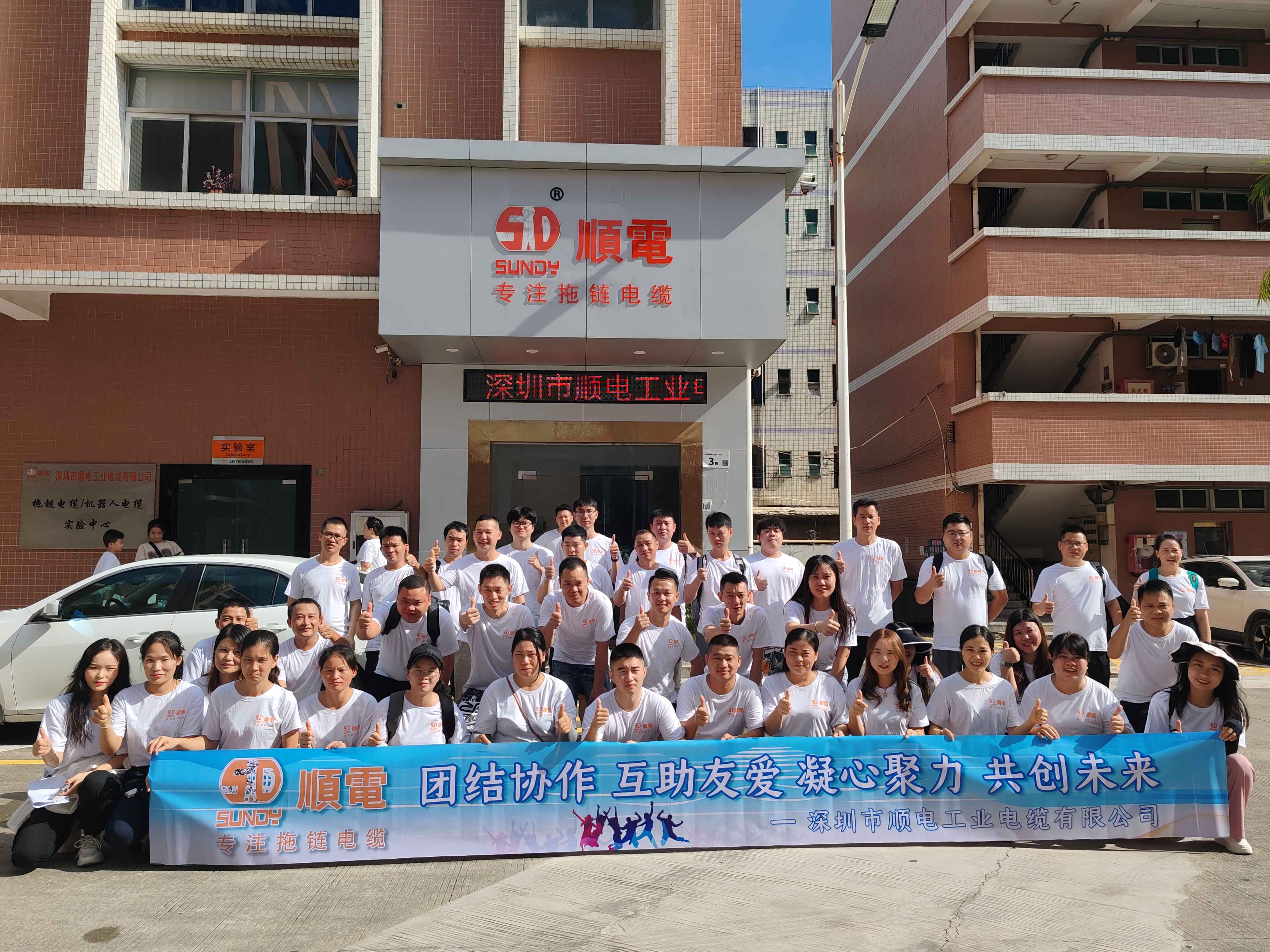 探索極致暢玩，順電獨(dú)特海島之旅！   